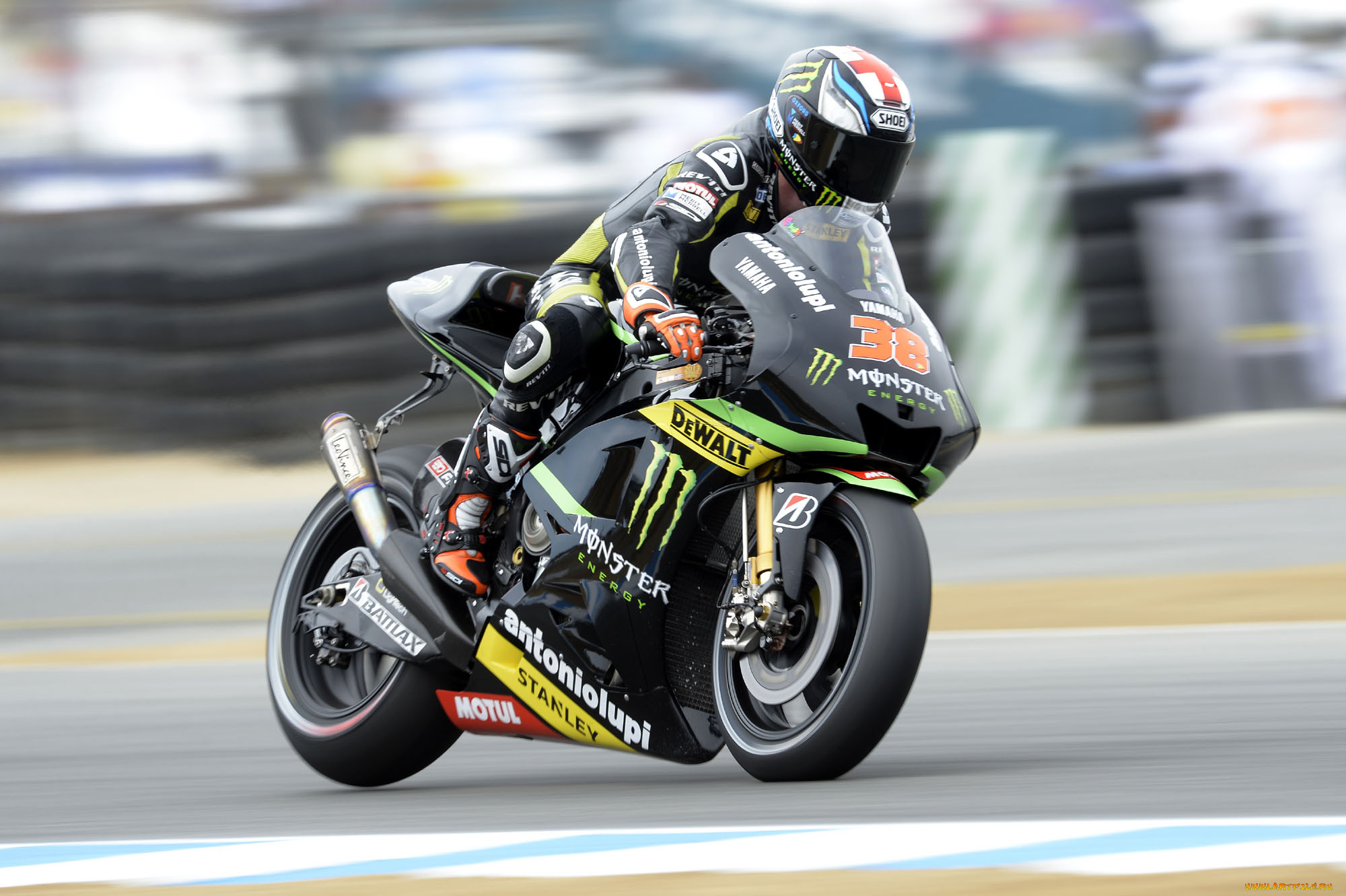 , , motogp, 2013